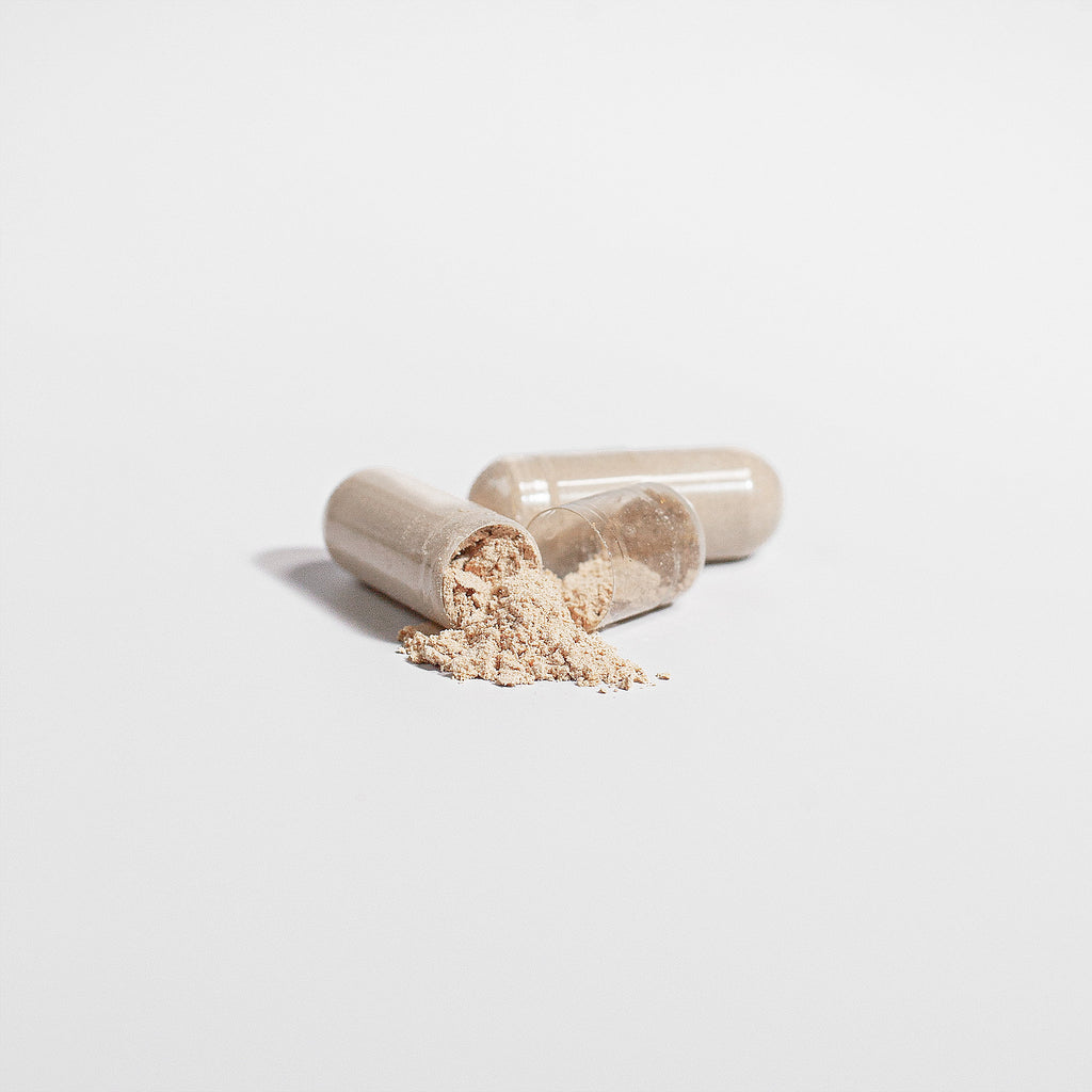 Lion's Mane Mushroom - Gluten Free, Non-GMO, Vegan, Lactose Free